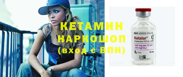 шишки Гусев