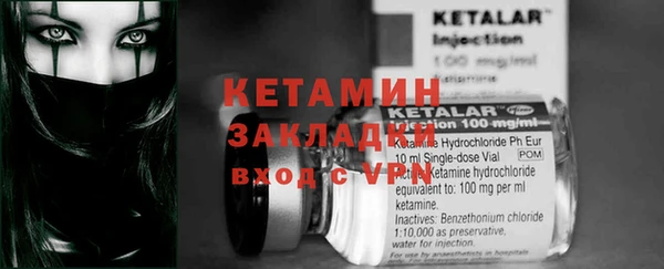 шишки Гусев
