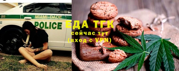 эйфоретик Гусь-Хрустальный