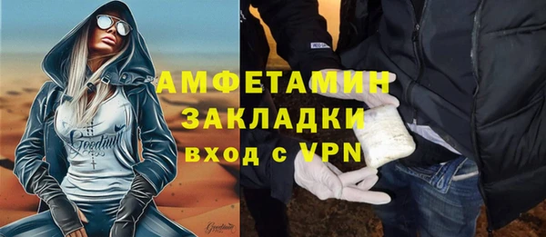 шишки Гусев