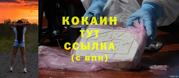 шишки Гусев