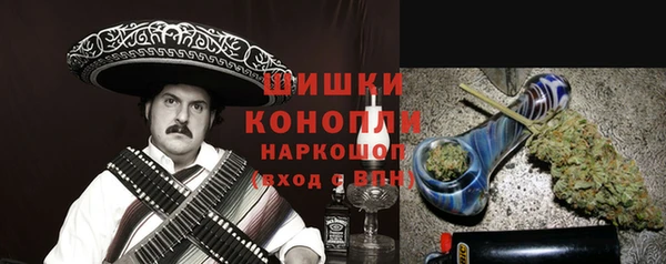 эйфоретик Гусь-Хрустальный