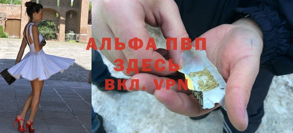 шишки Гусев